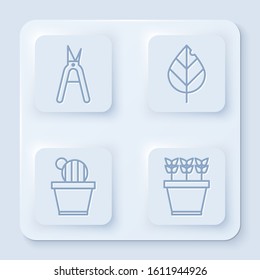 Set line Gardening handmade scissors, Leaf, Cactus and succulent in pot and Plants in pot. White square button. Vector