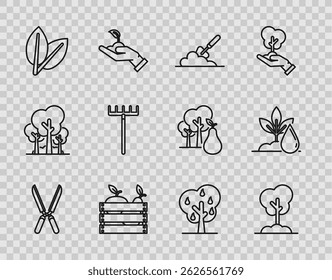 Definir linha Jardinagem tesouras artesanais para aparar, Árvore o chão, pá de espada de trowel, frutas de caixa de madeira legumes, folhas, ancinho, com peras e ícone de planta de regar. Vetor