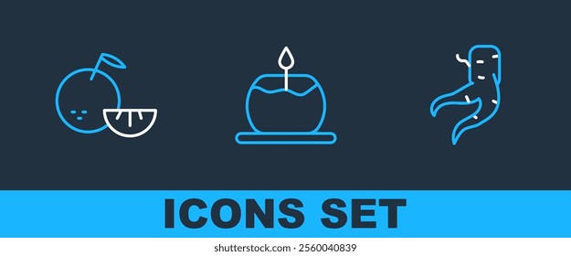 Set line Ginger root, Citrus fruit and Aroma candle icon. Vector