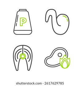 Set line Grilled steak meat and fire flame, Fish, Fried chicken wing and Pepper icon. Vector