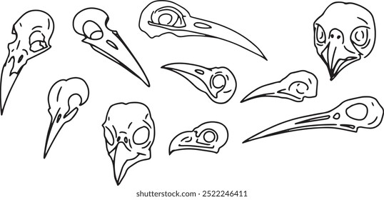 Set Line Clip de Halloween ilustración de arte calavera animal Tinta lineal dibujo western estilo para colorear. Moderno elemento de diseño de impresión minimalista contorno de criatura muerta Cráneo de pájaro fallecido contorno símbolo oculto