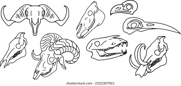 Set Line Halloween Clip art llustration animal skull Ink linear drawing western style coloring. Modern minimalist print design element dead creature contour deceased cattle ram skull outline sheep cow