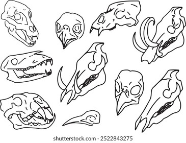 Set Line Clip de Halloween ilustración de arte calavera animal Tinta lineal dibujo western estilo para colorear. Elemento de diseño de impresión minimalista moderno contorno de criatura muerta contorno de cráneo de carnero de ganado muerto contorno de vaca de oveja