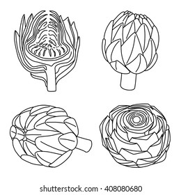 Set of line hand drawn artichoke. Vector illustration .