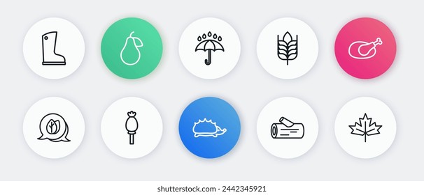 Juego de línea Erizo, Pavo asado o pollo, Hoja, tronco de madera, Trigo, Paraguas y gotas de lluvia, hoja de arce canadiense e icono de amapola de opio. Vector