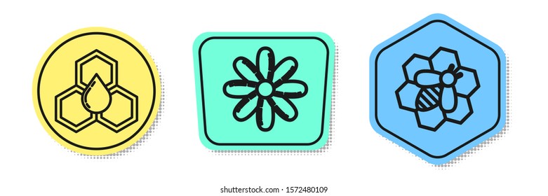 Set line Honeycomb, Flower and Bee and honeycomb. Colored shapes. Vector