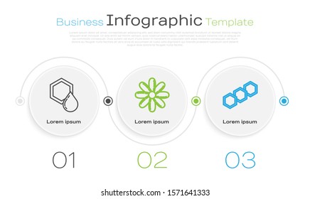 Set line Honeycomb, Flower and Honeycomb. Business infographic template. Vector