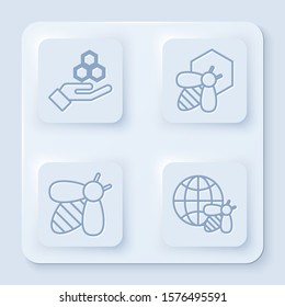 Set line Honeycomb and hand, Bee and honeycomb, Bee and Honeycomb map of the world and bee. White square button. Vector