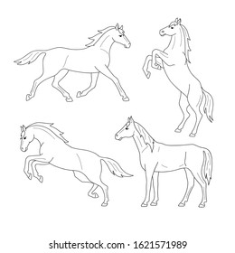 Set of line horses. Isolated black outline galloping, jumping running, trotting, rearing horse on white background. Side view. Curve lines. Page of coloring book.