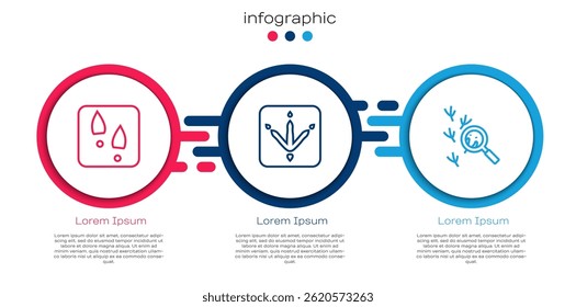 Set line zapatos de huellas humanas, pata de pollo y pájaro. Plantilla de infografía de negocios. Vector