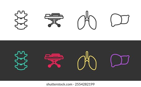 Set line Human spine, Stretcher, Lungs and organ liver on black and white. Vector