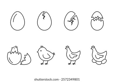 Set of line icons of a chick emerging from an egg