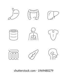 Set line icons of digestive system