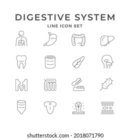 Set line icons of digestive system