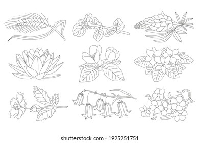Set of line icons of flowers and plants.