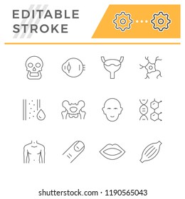 Set line icons of human organs