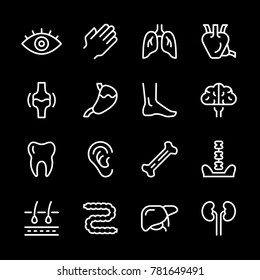 Set line icons of human organs