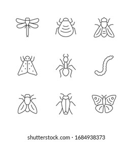 Set line icons of insect
