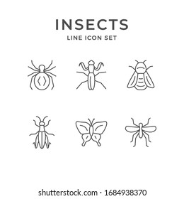 Set line icons of insects