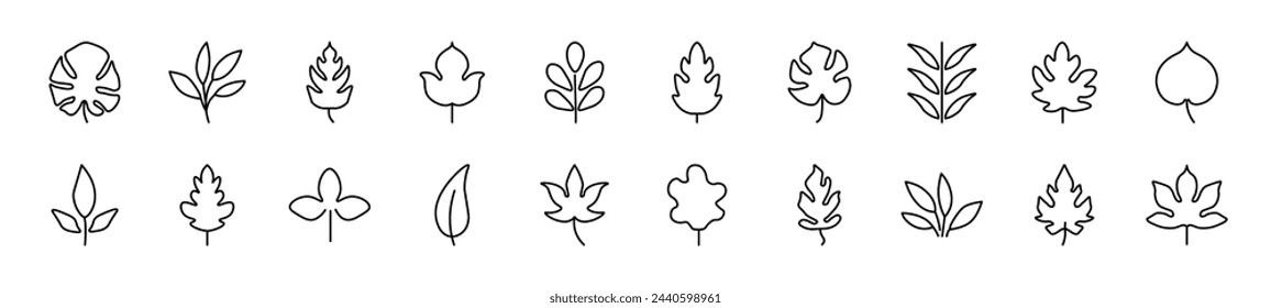Conjunto de iconos de línea de hoja. Trazo editable. Signo de esquema simple para sitios web, periódicos, libros de artículos
