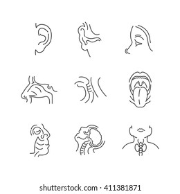 Set of Line Icons Medical Doctors Otolaryngology