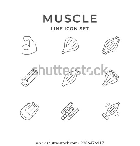 Set line icons of muscle