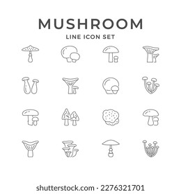Set line icons of mushroom