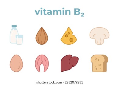 Un conjunto de iconos de línea de productos que contienen vitamina B2. Iconos de leche, huevos, pescado, etc., derrame