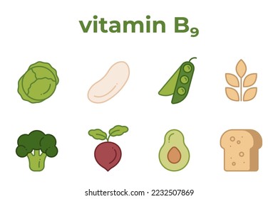 A set of line icons of products containing vitamin B9. Icons of beet, avocado, cereals, etc, editable stroke