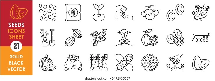 A set of line icons related to Seed. Seed, walnut, pumpkin, seeding, sow, sprout, cocoa, beans, wheat, watermelon and so on. Vector outline icons set.
