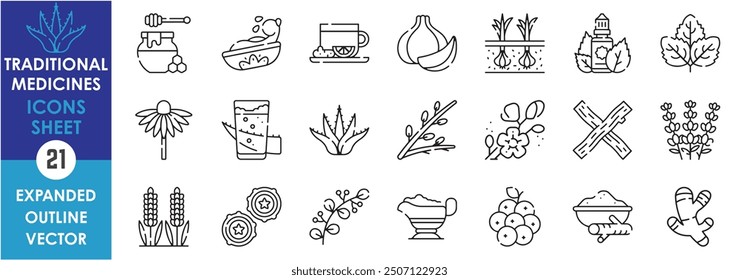 A set of line icons related to Traditional Medicines. Turmeric, Honey, Ginger, Garlic, Peppermint, Echinacea, Aloe Vera, Willow, Licorice, Lavender, Eucalyptus, Cranberry, and so on.