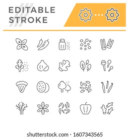 Set line icons of seasoning