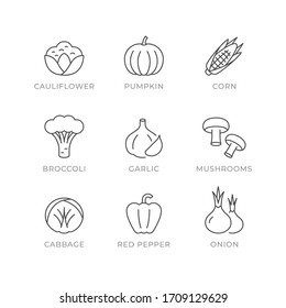 Establecer iconos de línea de vegetales