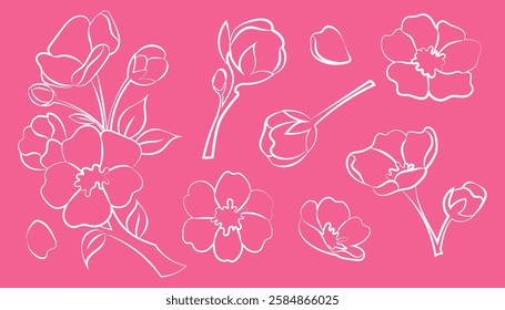 Set line illustrations sakura flowers and branches. Cherry blossoms. Line art. Hanami, cherry blossom festival. 