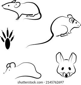 Set of line images of mouse