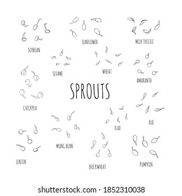 Set of line ink growing seeds - vector illustration. Microgreens in the style of sketch and hand drawing. Soybean sprouts, mung bean Healthy and wholesome vegan food for restaurants, cafes, kitchens.