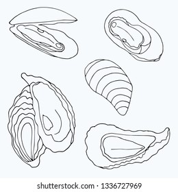 Set of line isolated marine oysters and mussels for coloring. Seafood set.