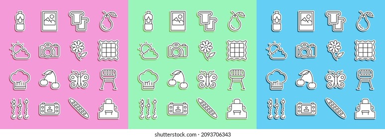 Set line Kitchen apron, Barbecue grill, Checkered napkin, Bread toast, Photo camera, Sun and cloud weather, Bottle of water and Flower icon. Vector