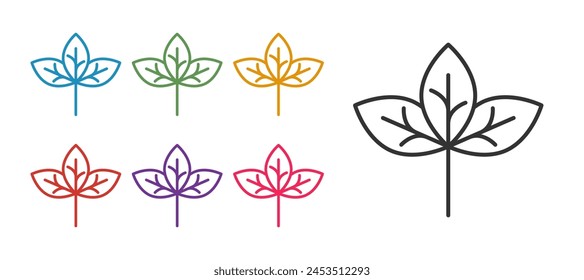 Icono de hoja aislado sobre fondo blanco. Deja una señal. Símbolo de producto natural fresco. Establecer iconos coloridos. Vector