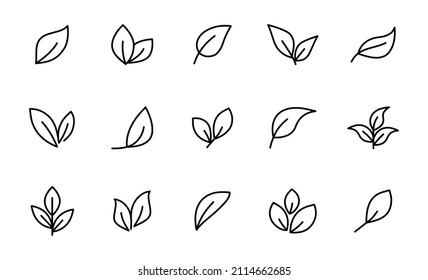 Set of line leaf icons. Leaves icon. Leaves of trees and plants. Collection green leaf. Elements design for natural, eco, bio, vegan labels. Vector illustration.