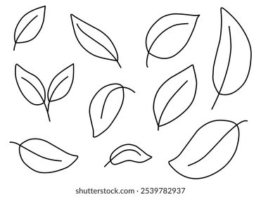 Set of line leaf icons. Leaves icon. Leaf collection. Elements design for natural, eco, bio, vegan labels. Vector illustration