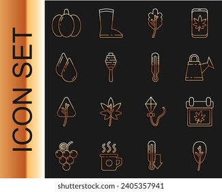 Set line Leaf or leaves, Calendar with autumn, Watering can, Honey dipper stick, drop, Pumpkin and Meteorology thermometer icon. Vector