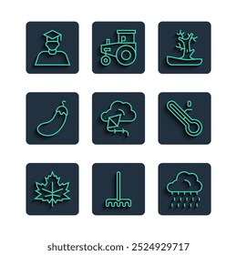 Set line Leaf or leaves, Garden rake, Cloud with rain, Bare tree, Kite, Eggplant, Graduate and graduation cap and Meteorology thermometer icon. Vector