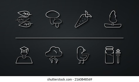 Set line Leaf or leaves, Graduate and graduation cap, Tree, Little chick, Storm, Mushroom, Jar of honey dipper stick and Carrot icon. Vector