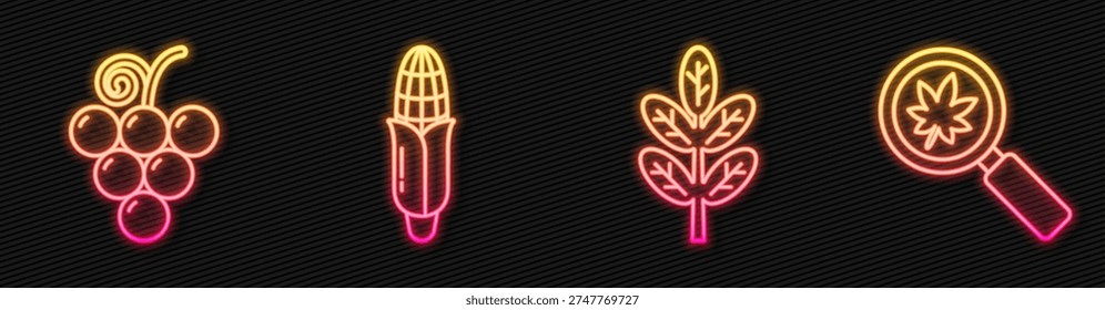 Set line Leaf or leaves, Grape fruit, Corn and Magnifying glass with leaf. Glowing neon icon. Vector
