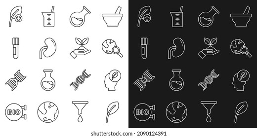 Fijar la hoja o hojas, la cabeza humana con hoja dentro, el globo de vidrio de aumento, el tubo de ensayo y el matraz, el riñón y el icono de la mano de la planta. Vector
