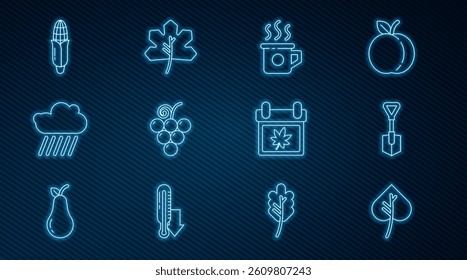 Set line Leaf or leaves, Shovel, Cup of tea, Grape fruit, Cloud with rain, Corn, Calendar autumn and  icon. Vector