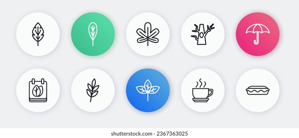 Set line Leaf, Umbrella, Calendar with autumn leaves, Coffee cup, Bare tree, Chestnut leaf, Homemade pie and  icon. Vector