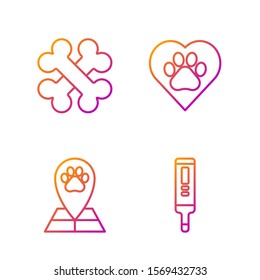 Set line Medical digital thermometer, Map pointer with veterinary medicine hospital, Crossed bones and Heart with animals footprint. Gradient color icons. Vector