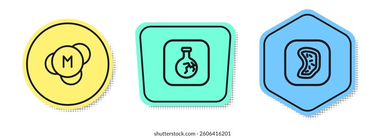 Set line Molecule, Cracked flask and Bacteria. Colored shapes. Vector